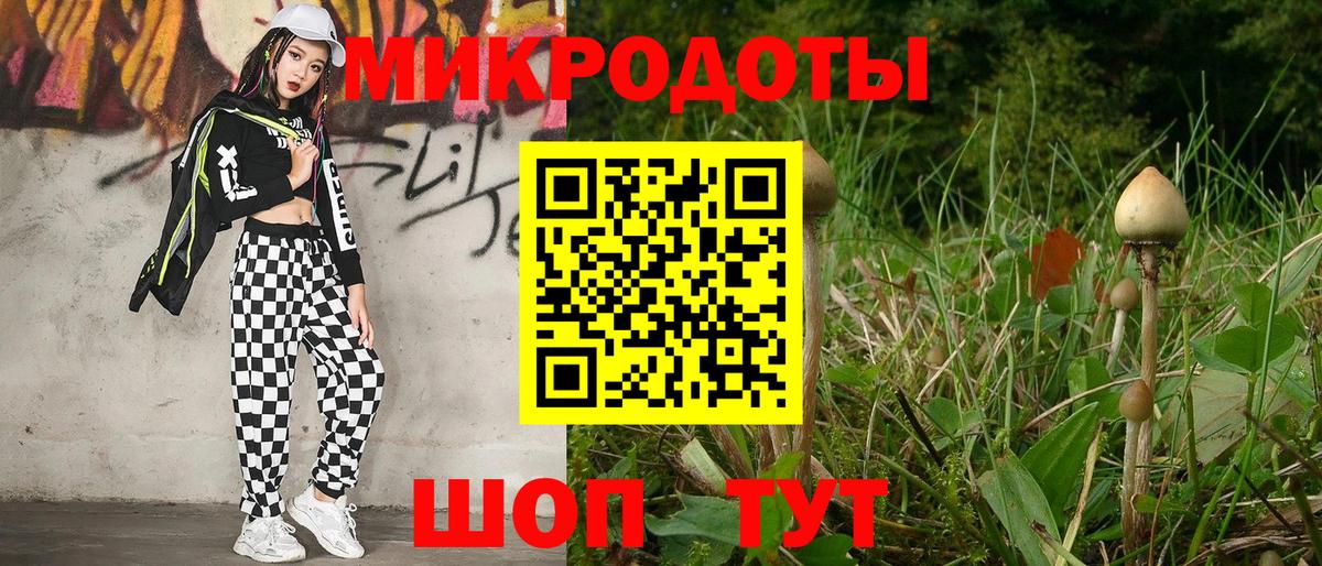 Псилоцибиновые грибы GOLDEN TEACHER  Псилоцибиновые грибы прущие грибы  где найти наркотики  Вход с VPN  Ишим 